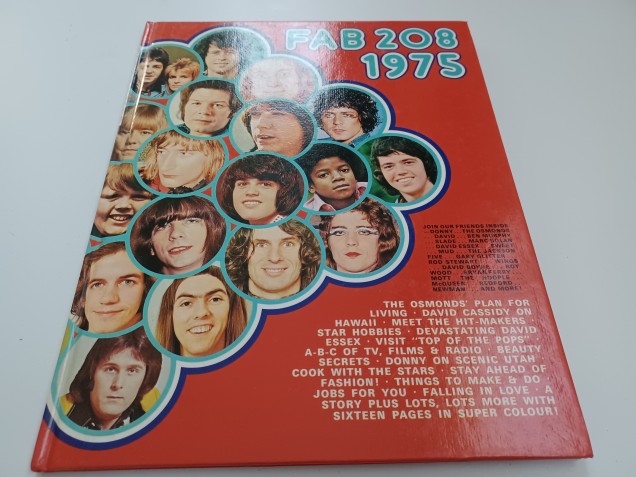 FAB208 1975 Annual - Used