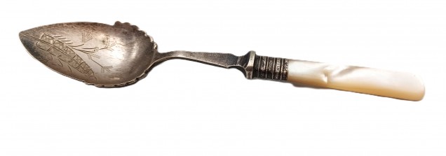 Vintage Jam Spoon With Mother Of Pearl Handle