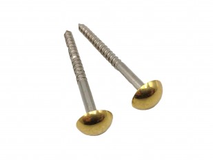 Mirror screws with Brass caps 2 inch 4 pack