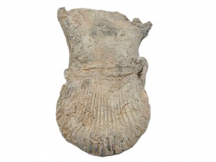 Medieval Pilgrim's Ampulla for Holy Water 14th-15th Century